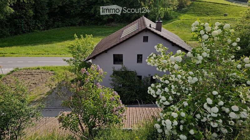 Single-story house with a brown tiled roof, surrounded by lush greenery and flowering bushes.