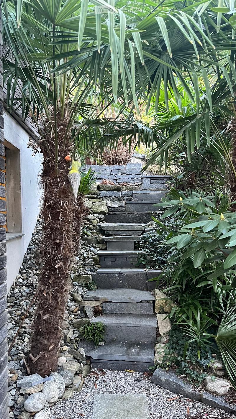A stone staircase surrounded by lush greenery, including palm-like plants and various foliage, leading up to a raised area.