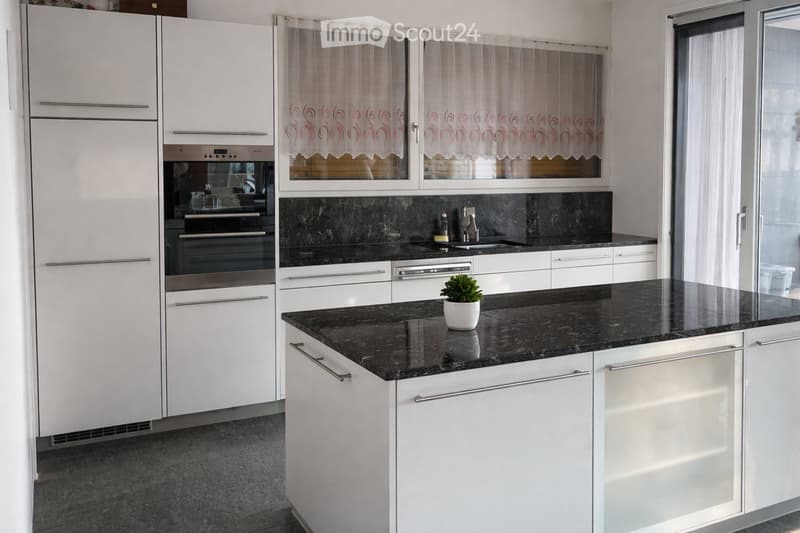 Modern kitchen with white cabinets, black granite countertops, stainless steel appliances, and a small potted plant on the counter.