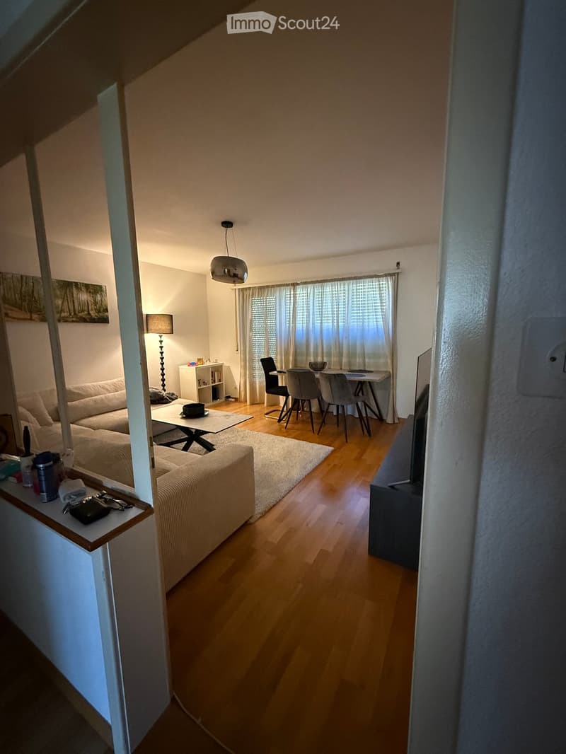 Open-plan living and dining area with wooden flooring, a sofa, coffee table, dining table with chairs, and a lamp.