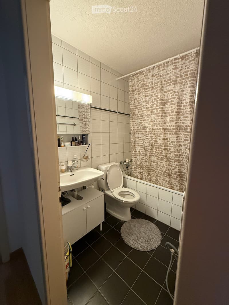 Modern bathroom with white tiles, a sink, toilet, mirror, and a shower curtain. Includes a small cabinet and a round rug on the floor.