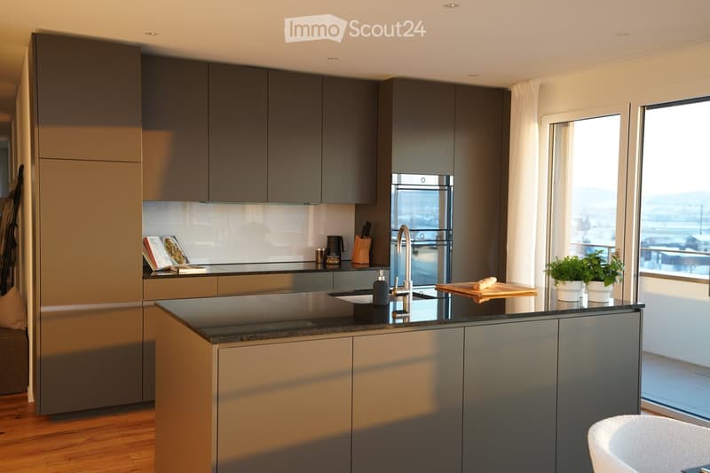 Modern kitchen with dark grey cabinets, stainless steel appliances, and a black countertop. Features a sink with a modern faucet, an oven, a knife block, and potted plants on the counter.