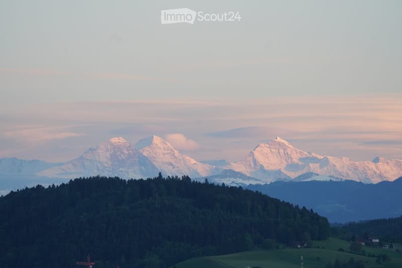 A panoramic view of a lush green forest covering a hillside, with snow-capped mountain peaks in the background under a soft, pastel-colored sky.