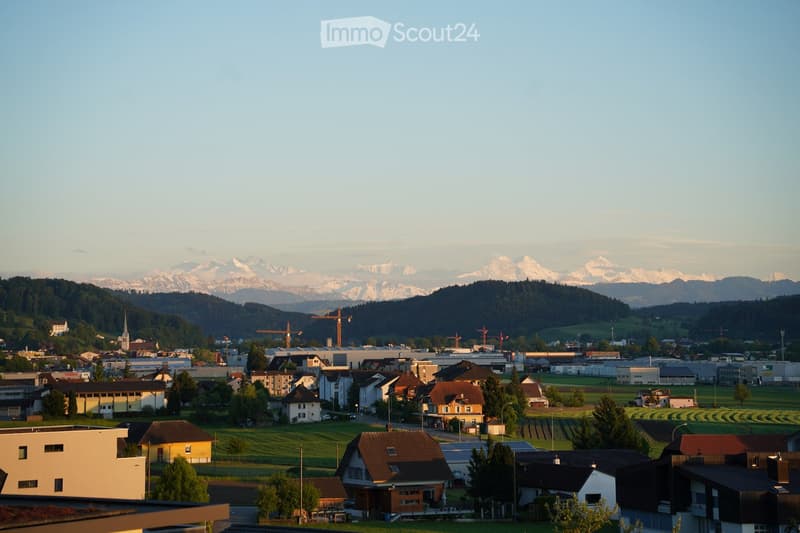 A panoramic view of a town with houses, buildings, and a backdrop of snow-capped mountains.