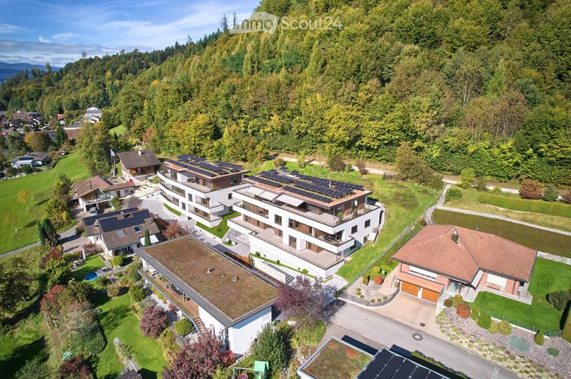 Aerial view of a residential area with multiple modern houses, solar panels on roofs, green lawns, and surrounding trees.