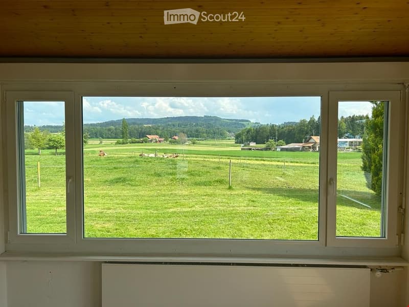 a large window with a view of a grassy field, trees, and distant houses
