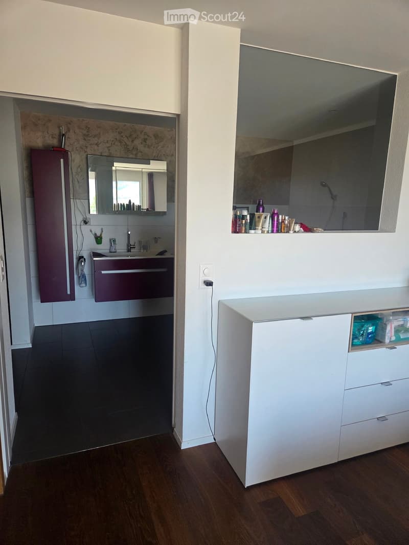 Modern bathroom with dark tiled floor, wooden flooring, white and maroon cabinets, sink, mirror, and toiletries on the counter.