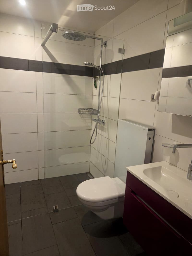 Modern bathroom with white tiles, a toilet, a sink with a faucet, a shower with a handheld sprayer, and a mirrored cabinet.