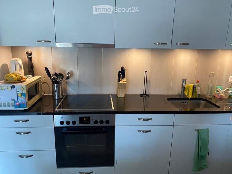 Modern kitchen with white cabinets, stainless steel appliances, induction cooktop, microwave, and various kitchen utensils.