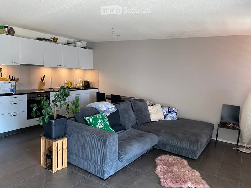 A modern, open-concept living and kitchen area with a grey sectional sofa, decorative pillows, a potted plant on a wooden stool, and a sleek kitchen with white cabinets and stainless steel appliances.
