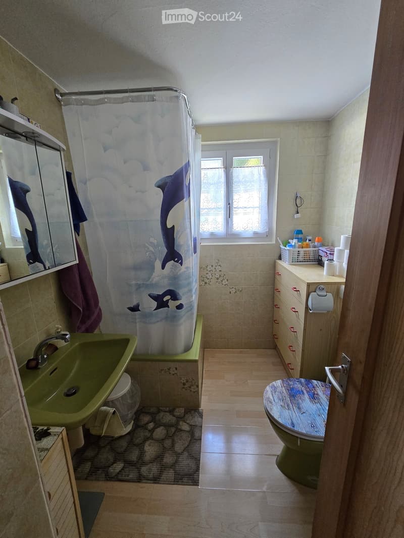 Bathroom with a green sink, toilet, mirror, shower curtain with dolphin design, and a wooden cabinet with toiletries.