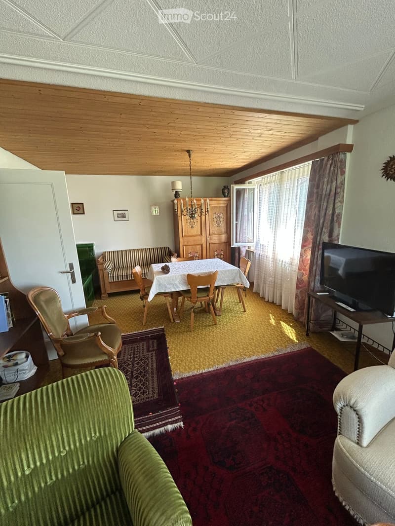 A cozy living room with a green sofa, wooden chairs, a dining table, a television, and a wooden cabinet. The room features patterned rugs and a chandelier hanging from the ceiling.