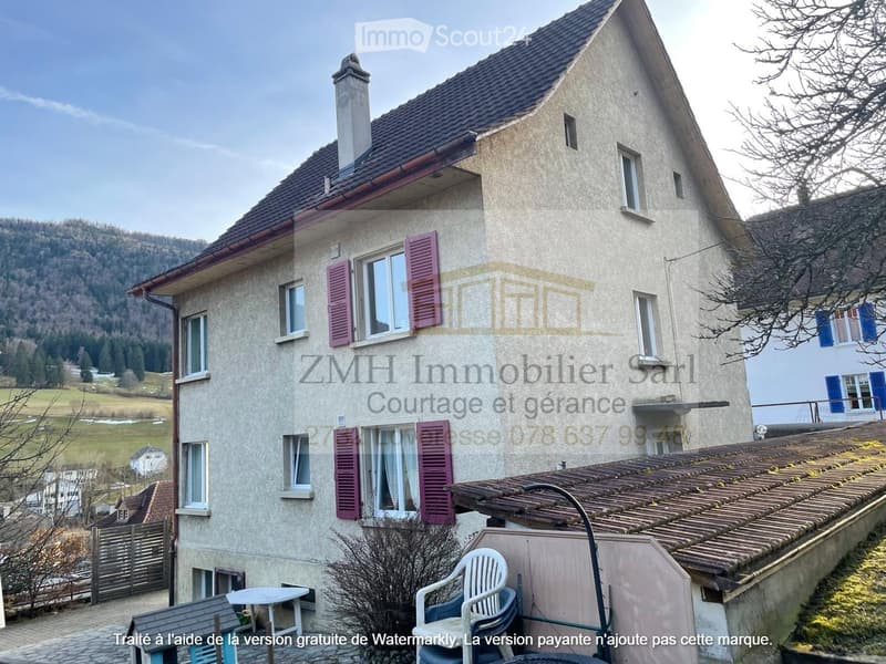 3 story house, stone construction, chimney, red shutter, terrace, small garden, chimney