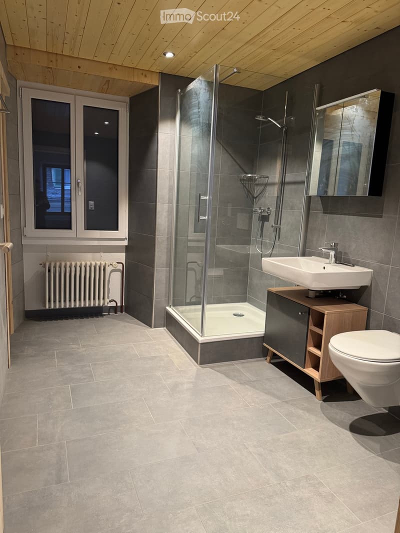Modern bathroom with grey tiles, a glass-enclosed shower, a white sink, a toilet, a radiator, and a large mirror.