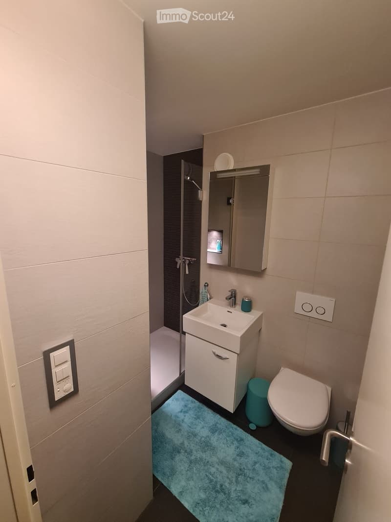 Modern bathroom with a white sink, mirror, toilet, and a small shower area. Features a blue rug and a teal trash bin.