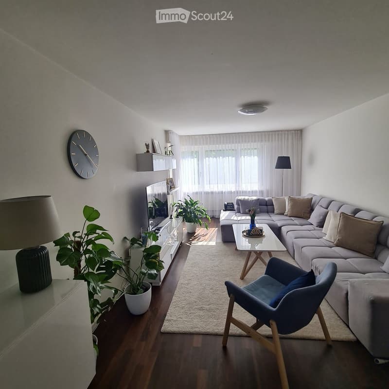 Modern living room with a grey sectional sofa, coffee table, blue armchair, TV stand, and decorative plants.