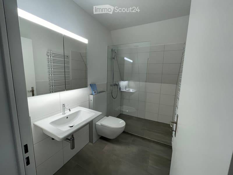 Modern bathroom with a white sink, toilet, large mirror, radiator, and glass-enclosed shower area.