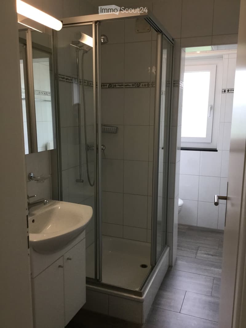 Modern bathroom with a glass-enclosed shower, a sink with a mirror, and a toilet. The space features tiled walls and a tiled floor.