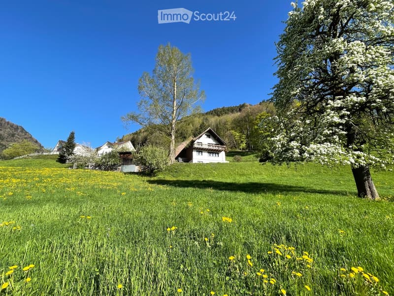 A peaceful countryside scene with a grassy field dotted with yellow flowers, a blooming tree, and a traditional house with a balcony in the background.