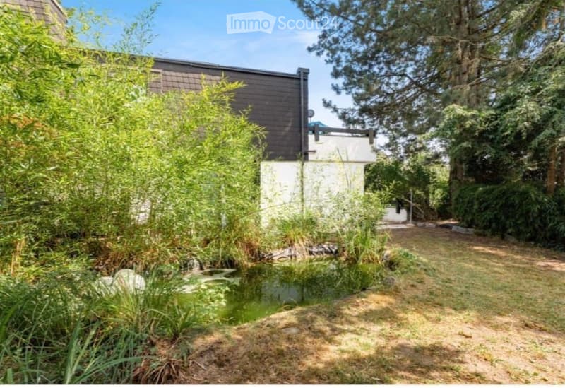A serene garden area with a small pond surrounded by lush greenery, featuring a modern house partially visible in the background.