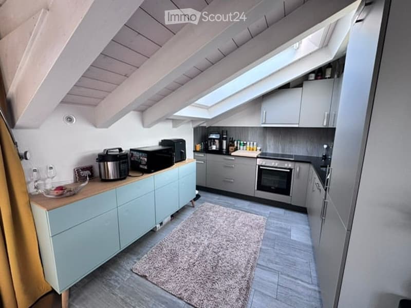 Modern kitchen with light blue cabinets, stainless steel appliances, and a skylight window above the sink. Includes a microwave, coffee maker, toaster, and a small rug on the floor.