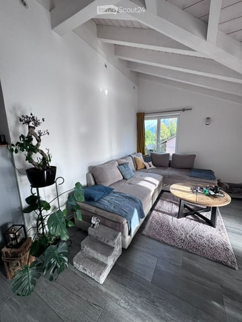 Modern living room with a large sectional sofa, coffee table, area rug, and several potted plants. The room features exposed wooden beams on the ceiling and a view of greenery through a large window.
