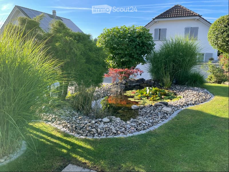 Well-maintained garden with a small pond surrounded by rocks and aquatic plants, lush greenery, and a neatly trimmed lawn.