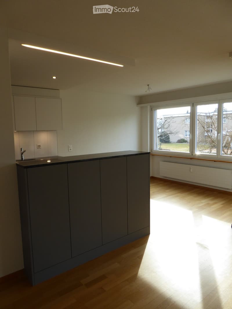 kitchen, large windows, grey counter, white cabinets, modern fittings