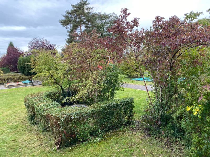 Well-maintained garden with a variety of trees and shrubs. A stone fountain in the center and a paved path in the background.