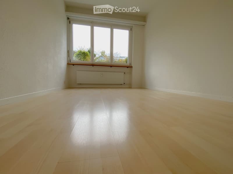 empty room, white walls, light wood floor, double glazed window, white radiator
