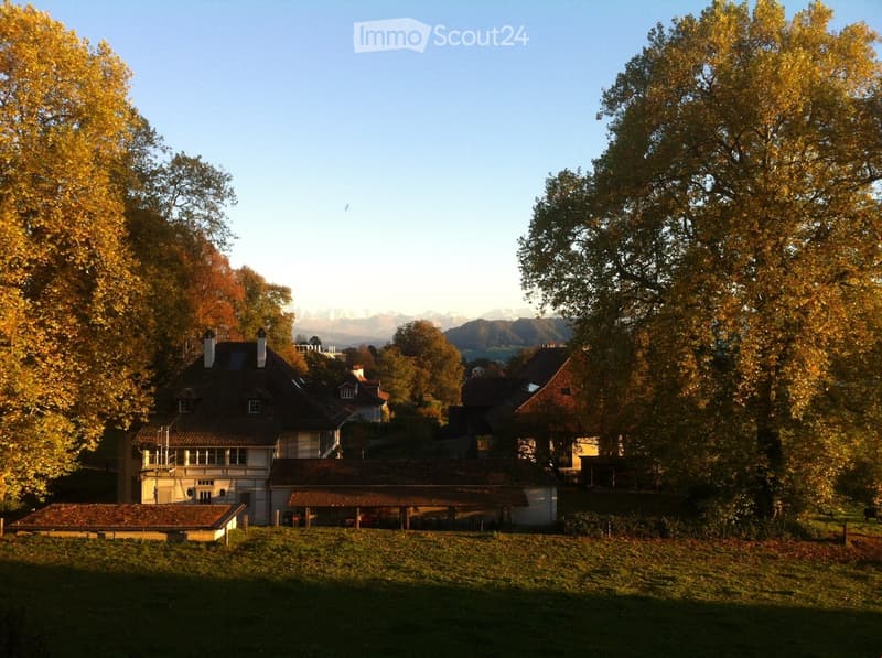 A cluster of traditional houses with pitched roofs and chimneys, surrounded by autumn trees and a grassy field, with distant mountains visible in the background.