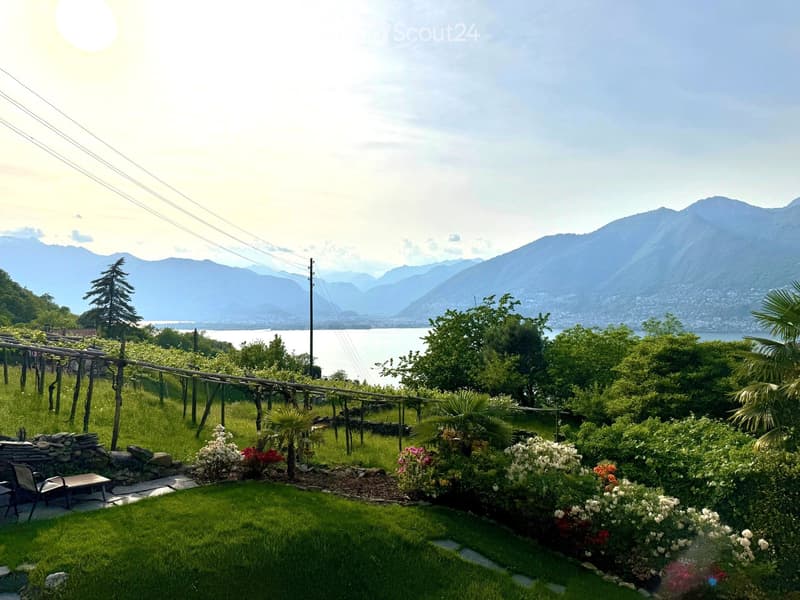 Lush garden with green grass, flowering bushes, palm trees, and a stone patio with outdoor furniture, overlooking a lake and mountains.