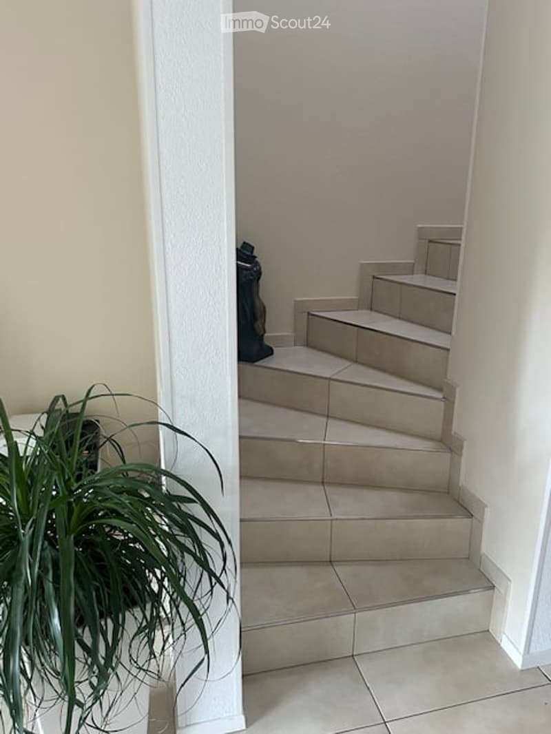 Hallway with a raised ground floor leading to a staircase, tiled steps, and a small plant on the left side.