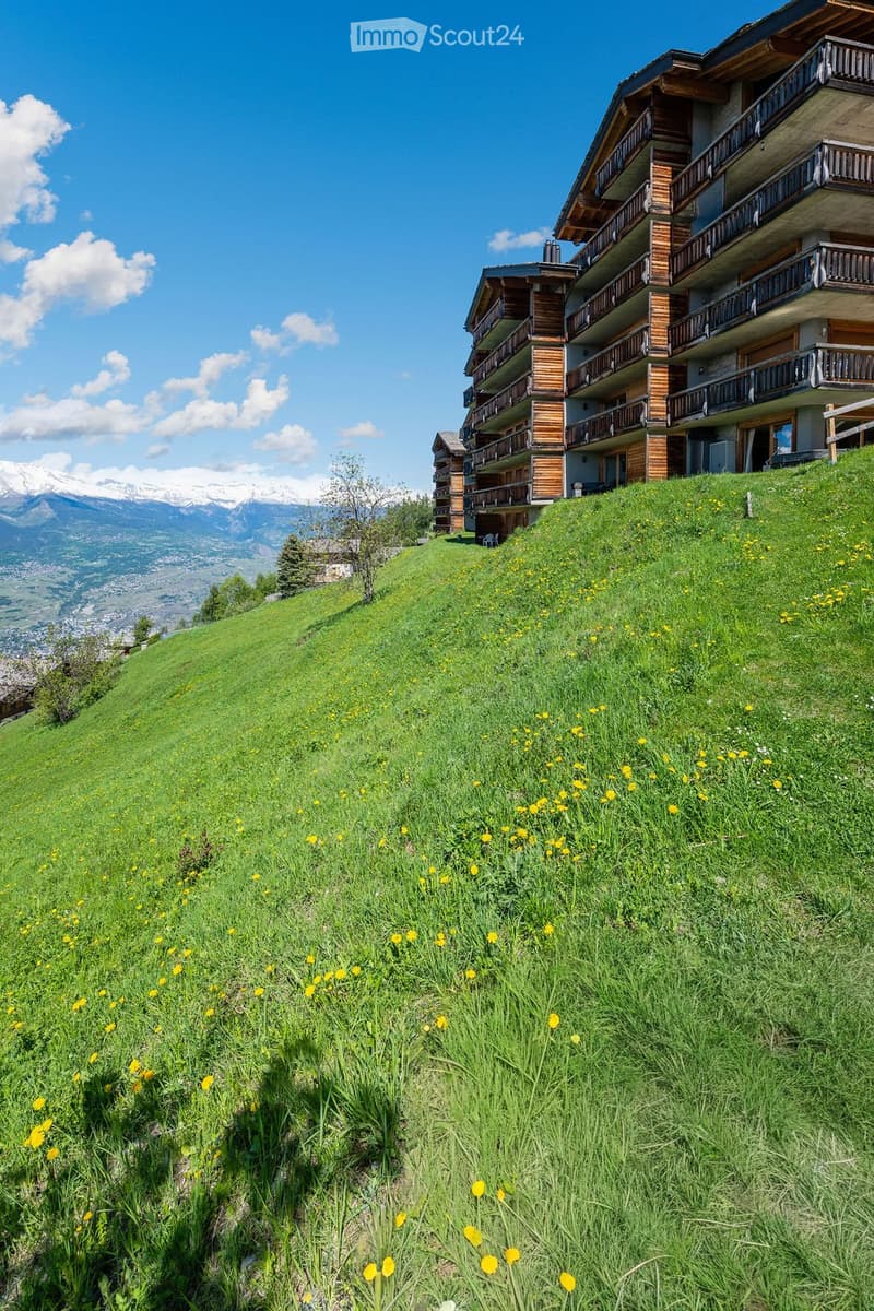 A multi-story wooden building with balconies, situated on a grassy hillside with yellow flowers, overlooking a scenic mountain landscape.