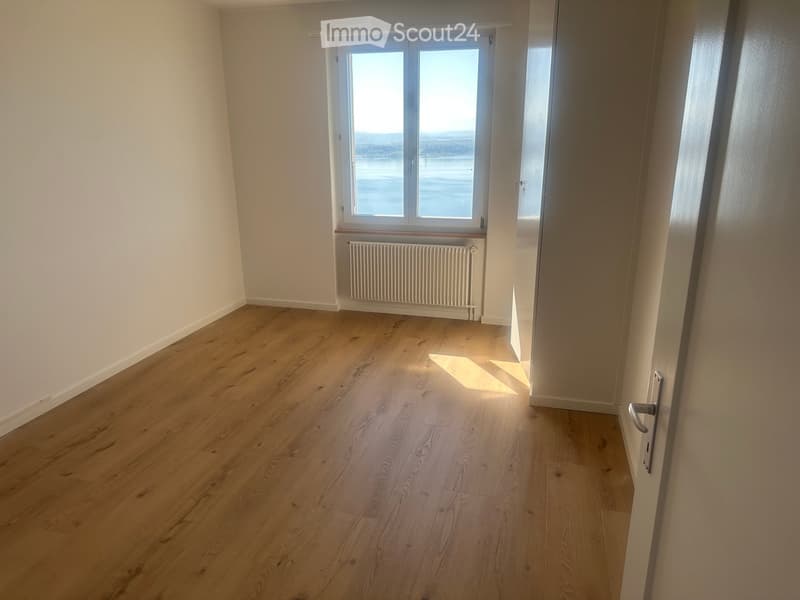 Empty room with light wooden flooring, white walls, a large window with a view, and a radiator below the window.