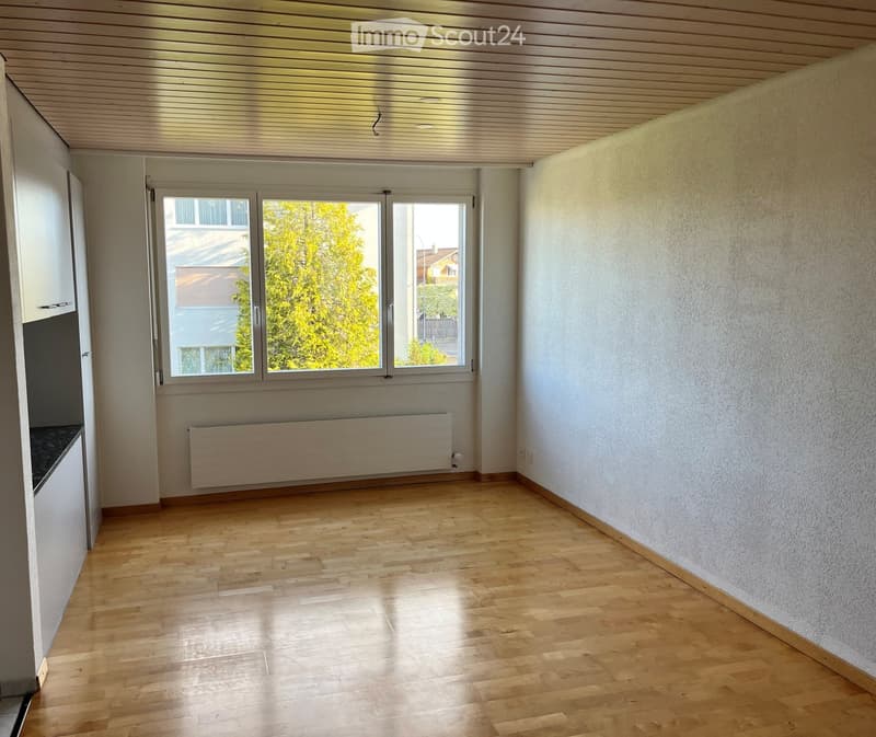 Empty room with wooden flooring, white walls, large window with view of trees, radiator, and a small cabinet visible on the left side.