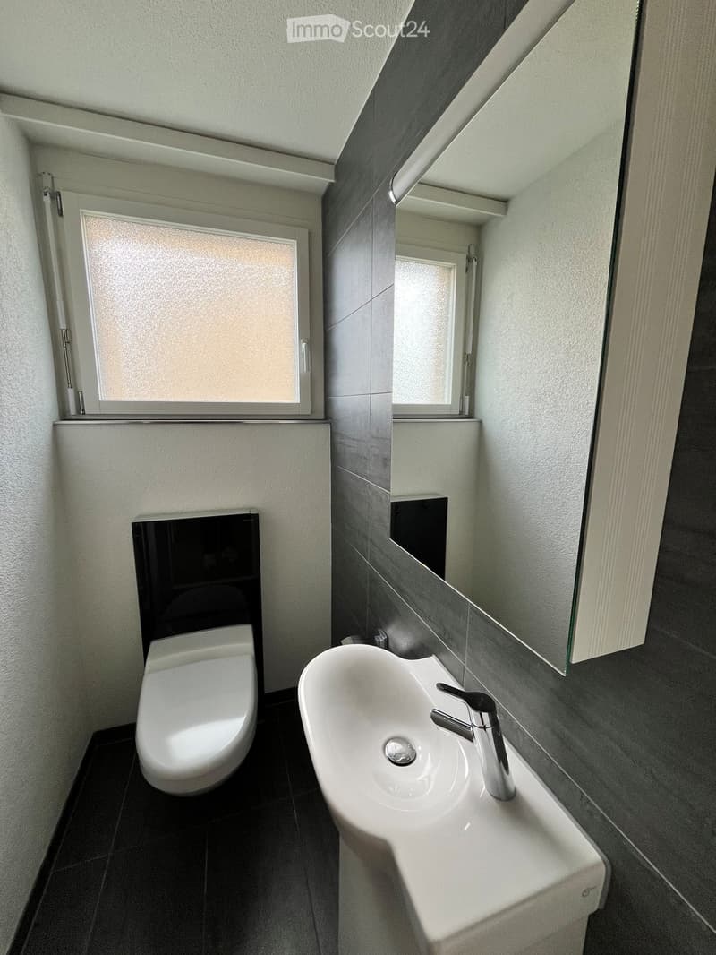 Modern bathroom with a toilet, sink, and large mirror. The sink has a sleek, contemporary design with a modern faucet. The walls are tiled in a combination of light and dark tones, and the floor is dark tiled.
