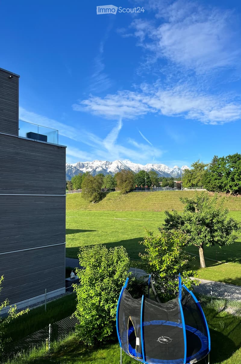 A garden area with a trampoline, surrounded by greenery and a view of snow-capped mountains in the background.