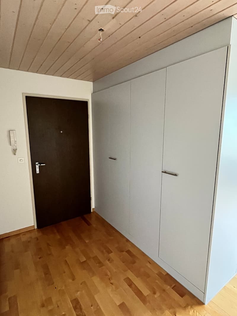 Empty room with light grey cabinets, wooden floor, and a closed door.