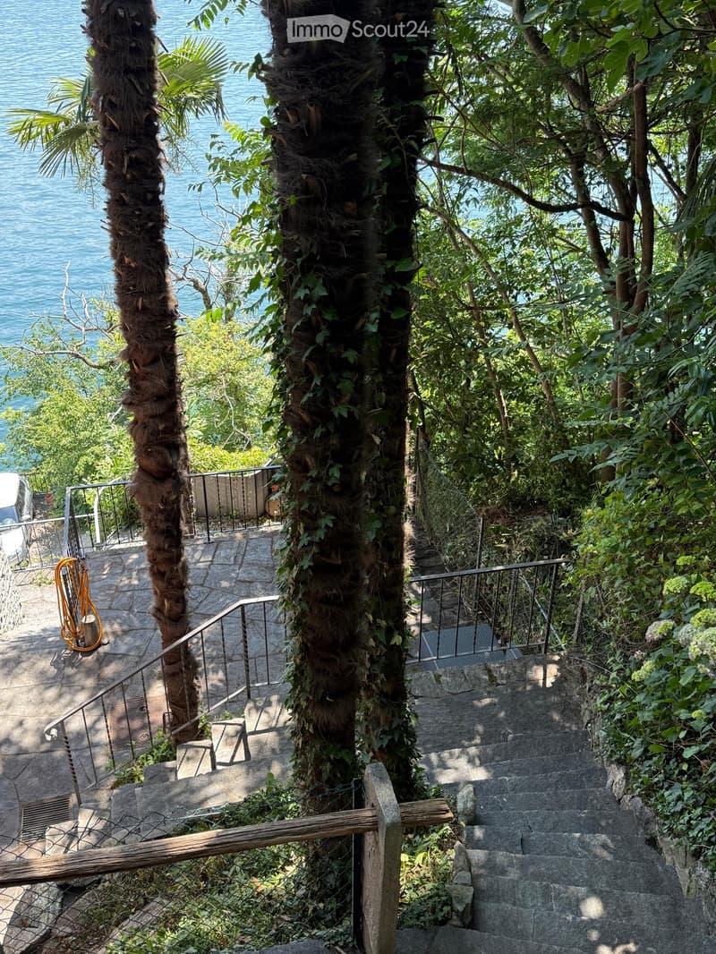 A lush, green staircase leading up a hillside, surrounded by trees and vegetation, with a view of the sea in the background.