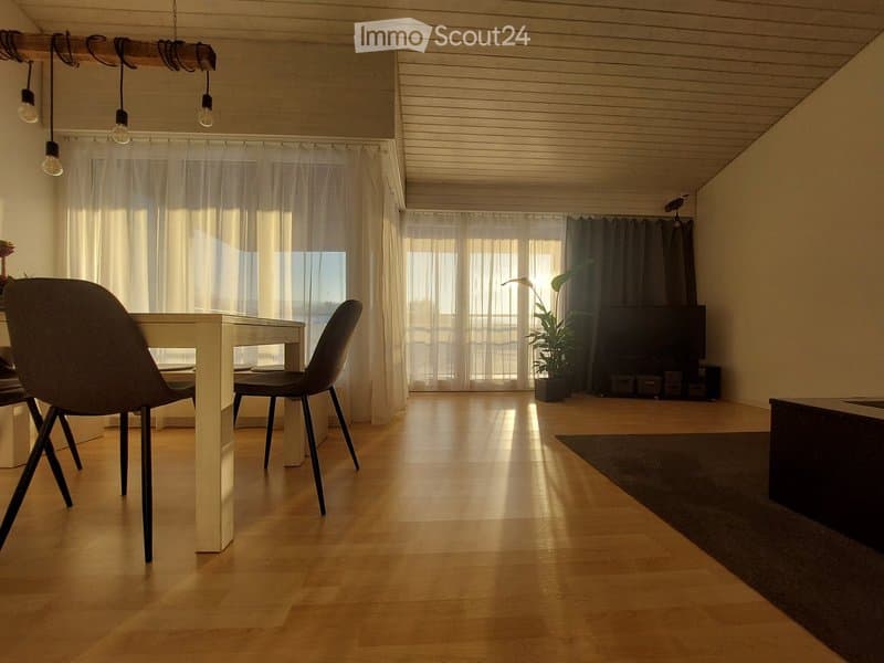 Bright, open-plan living and dining area with wooden flooring, large windows with curtains, a dining table with chairs, a television, and a potted plant.