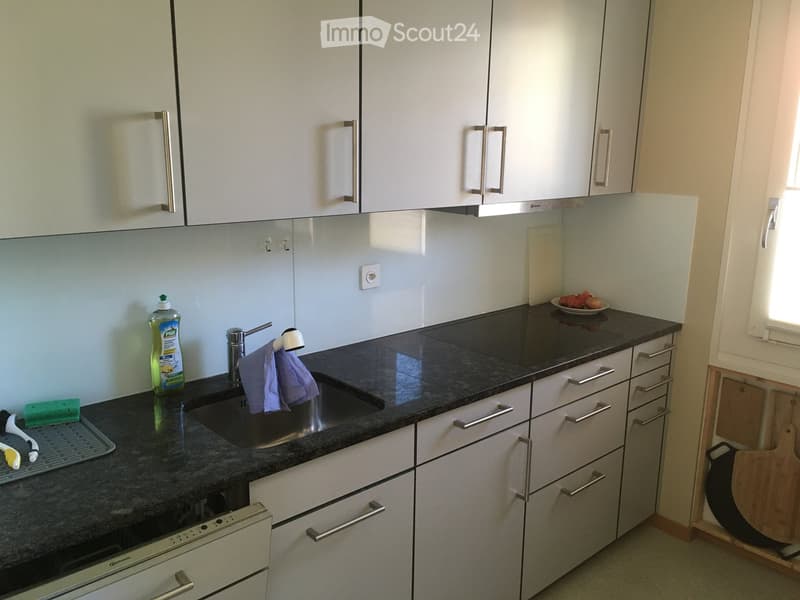 Modern kitchen with white cabinets, dark granite countertops, stainless steel sink, and built-in oven and dishwasher.