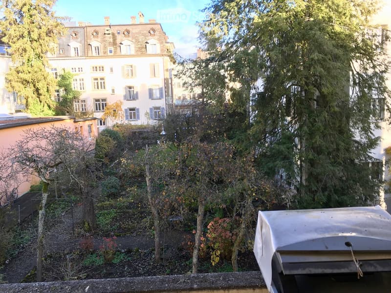 A garden area with trees, shrubs, and a barbecue grill, surrounded by residential buildings with multiple windows and chimneys.