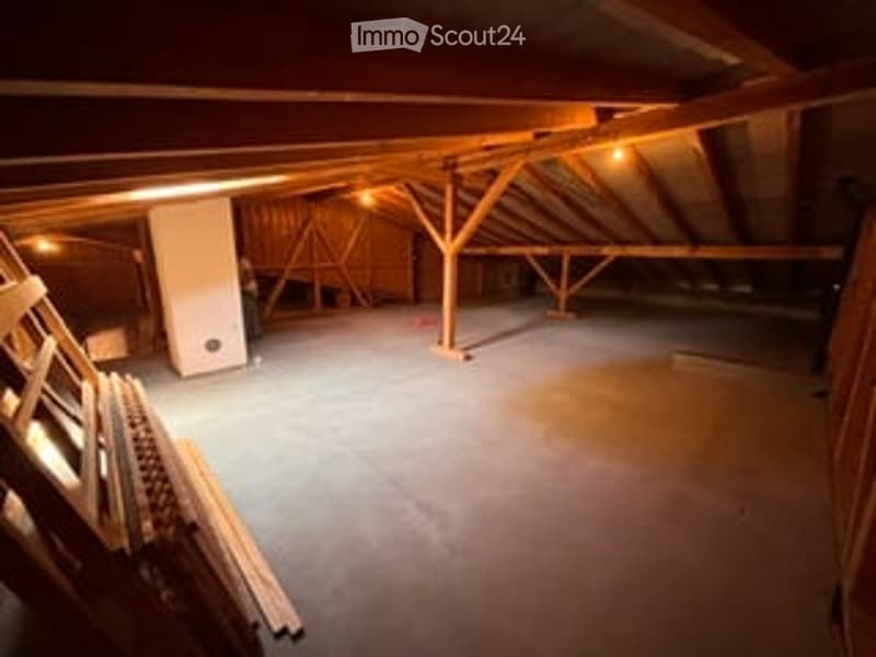 Empty attic space with exposed wooden beams and insulation, concrete floor, and minimal lighting.