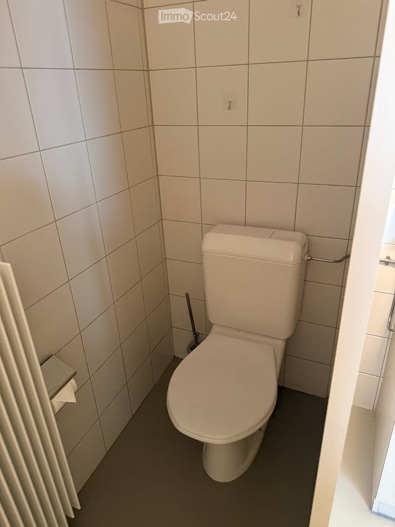 A small bathroom with white tiled walls and a toilet, toilet paper holder, and toilet brush visible.