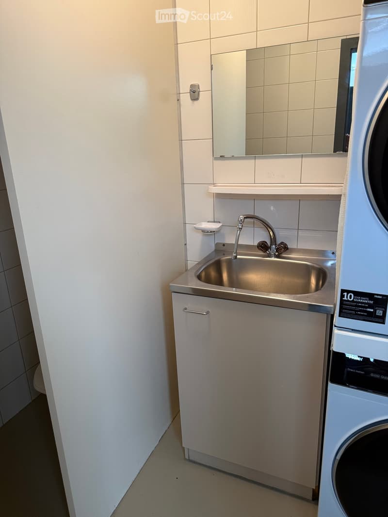 Bathroom with a stainless steel sink, faucet, mirror, and cabinet. A washing machine is visible to the right.