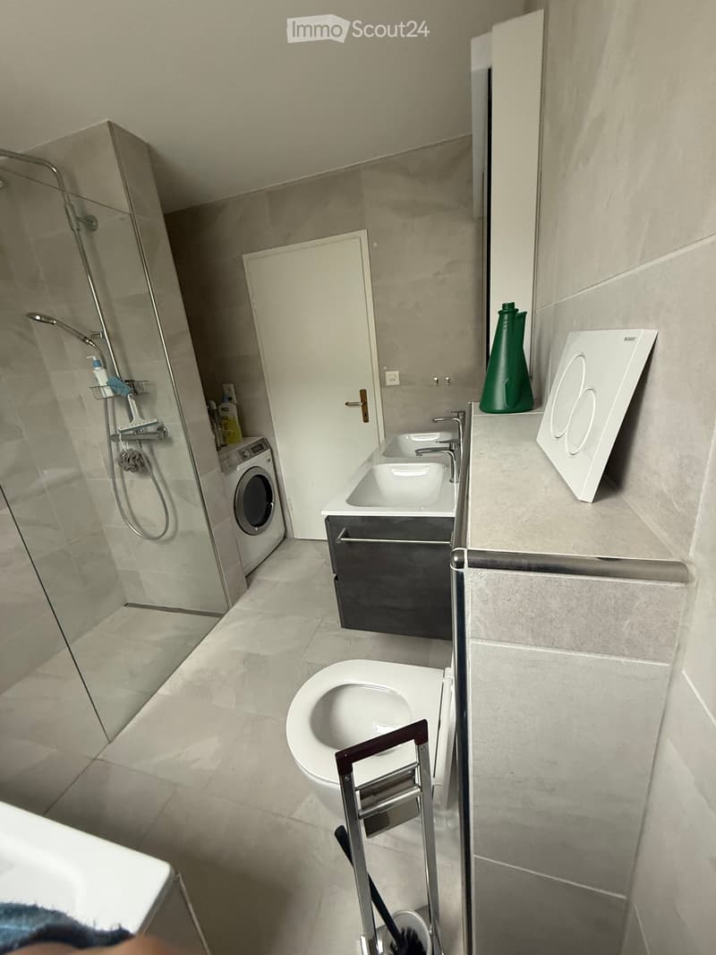 Modern bathroom with a toilet, sink, shower, and washing machine. Features a glass shower enclosure, a white sink with a faucet, and a white toilet with a toilet paper holder.