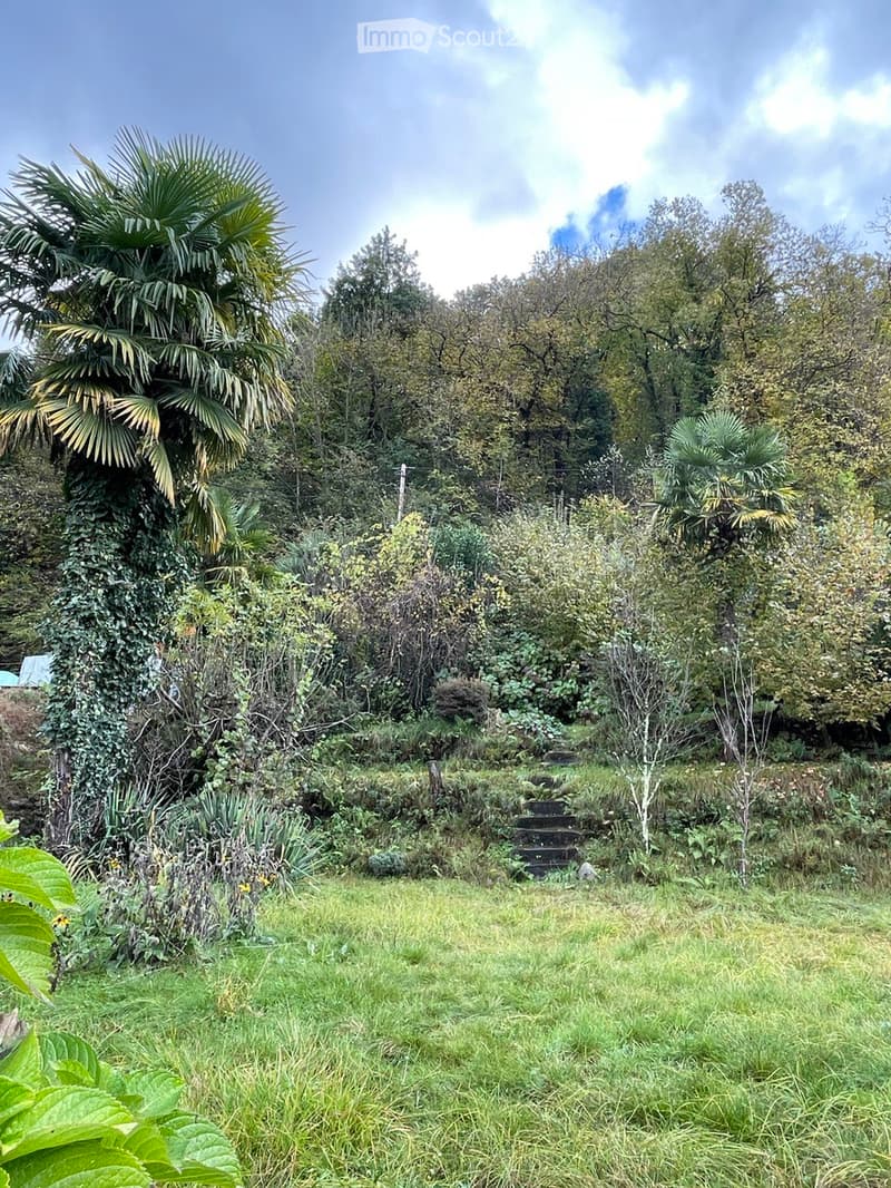 Lush garden with various trees, shrubs, and a small staircase leading up a slope.