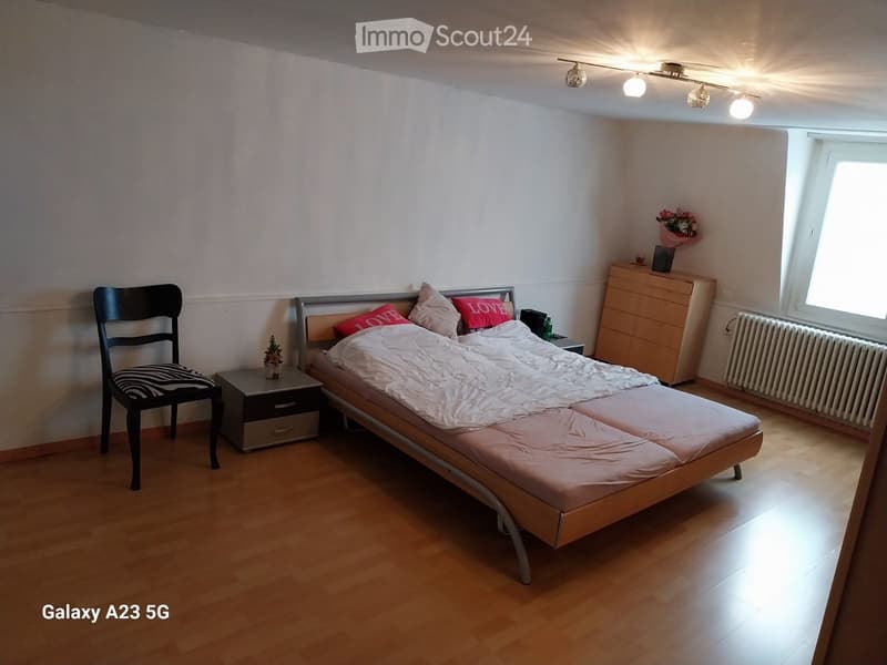 Cozy bedroom with wooden flooring, a double bed with white and pink bedding, a nightstand with a lamp, a black chair, and a small potted plant on the nightstand.