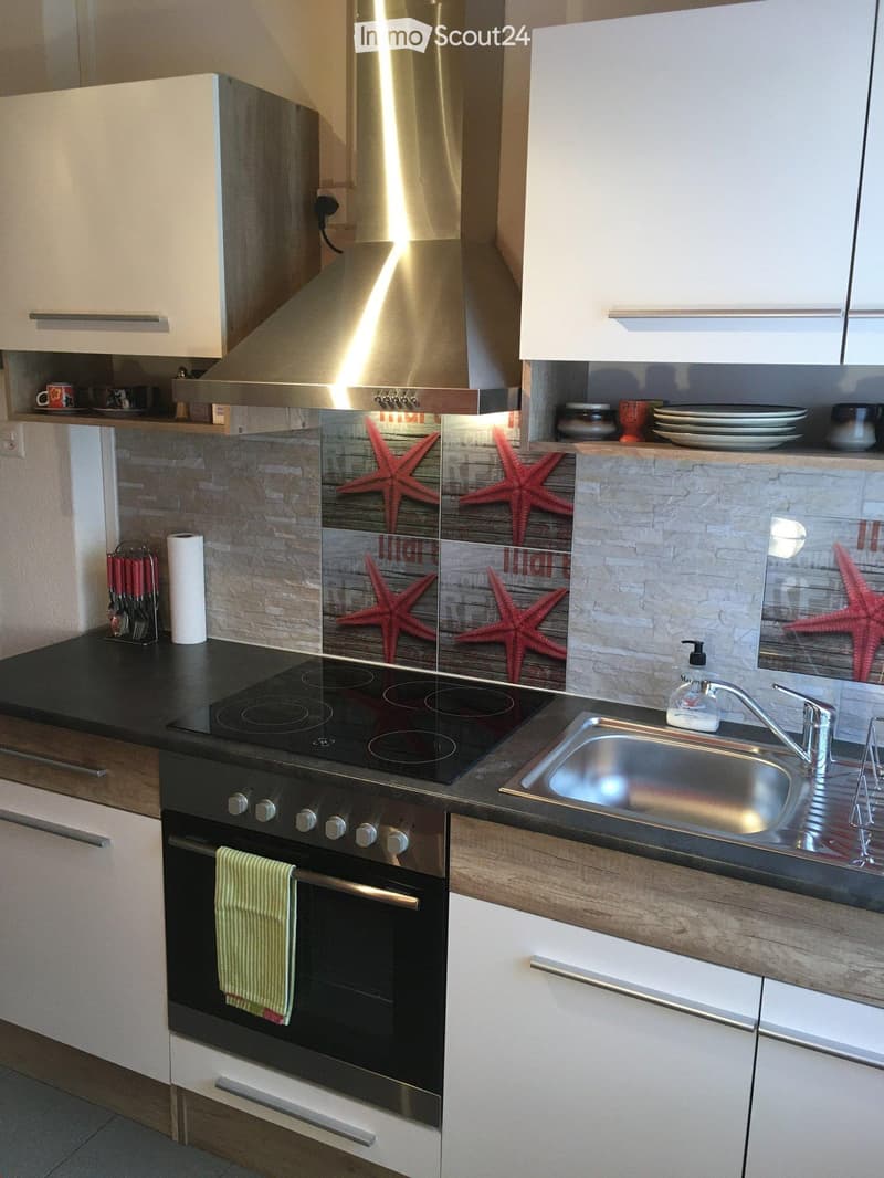 {"type": "Kitchen", "objects": ["oven", "induction stove", "sink", "faucet", "oven mitt", "cup", "dish rack", "faucet", "oven mitt", "oven", "oven mitt", "oven", "oven", "oven", "oven", "oven", "oven", "oven", "oven", "oven", "oven", "oven", "oven", "oven